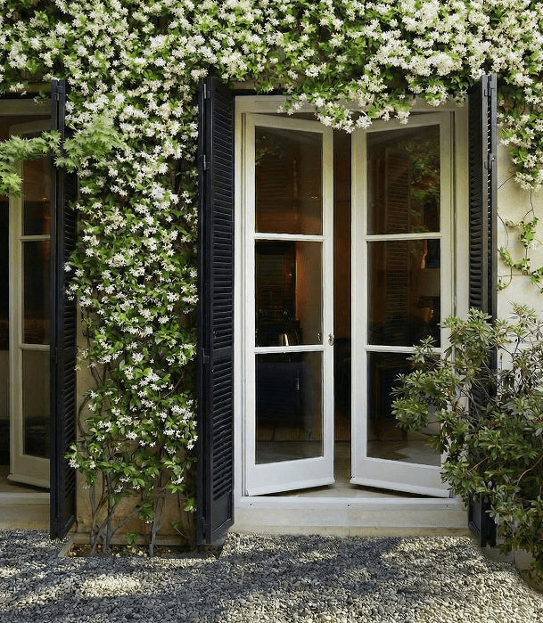 The Bistro Garden