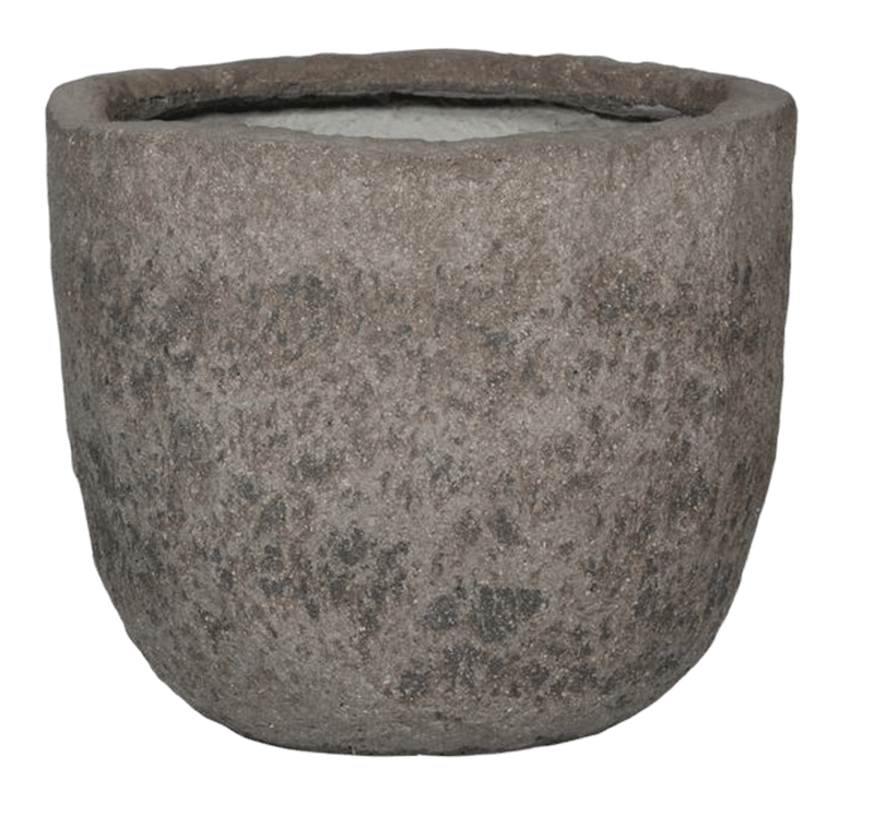 pot voor cirtoen boom