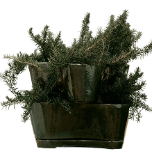 Ferm Living - Planters - By The Mood