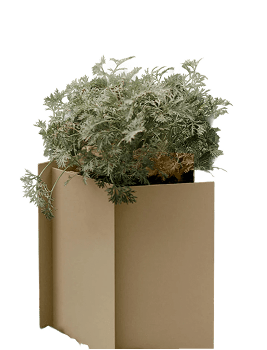Fragma - Planter